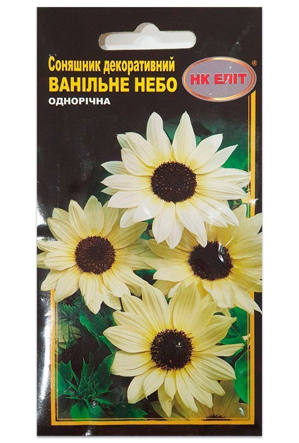 Sunflower Vanilla Sky Flower Seeds 1 g