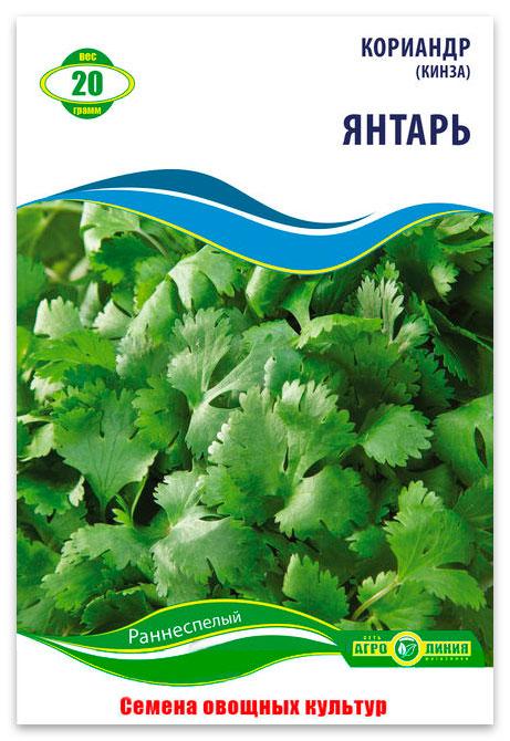 Coriander (Cilantro) Amber Herb Seeds, 20 g.