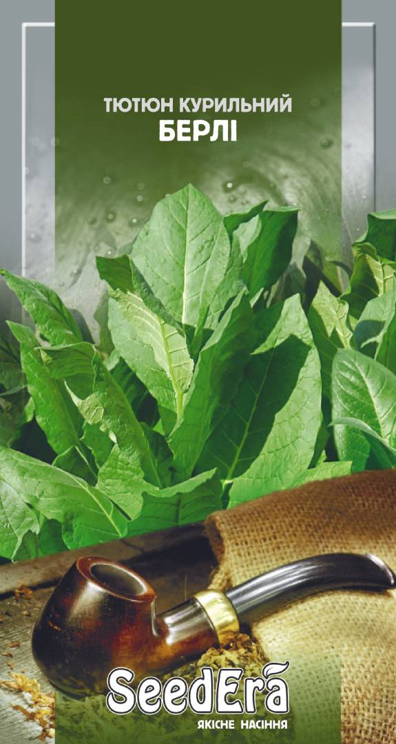 Berli tobacco seeds, 0.05 g, Seedera