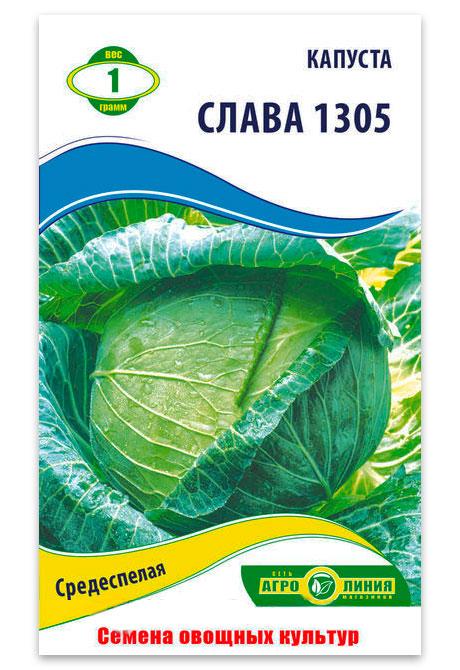 Slava Cabbage Seeds, 1 g.