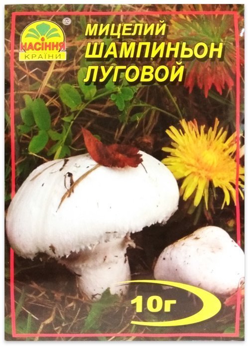 Meadow Champignon mushroom mycelium, 10 g