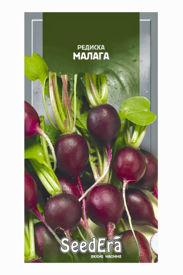 Malaga Radish Seeds, 1 g, Seedera