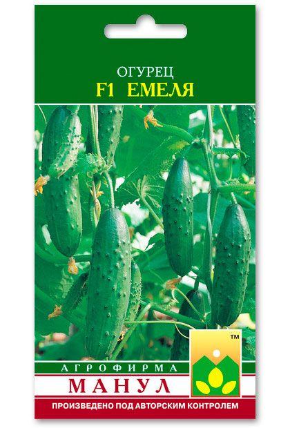 Emelya F1 Cucumber Seeds, 10 seeds