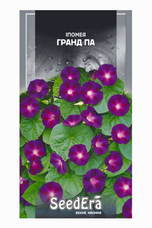 Flower seeds: Grand Pa Morning Glory, 0.5 g, Seedera