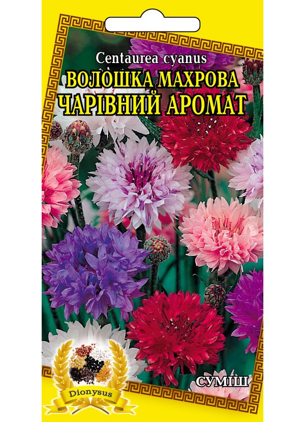 Flower seeds: Double Cornflower "Magical Aroma," 0.5 g