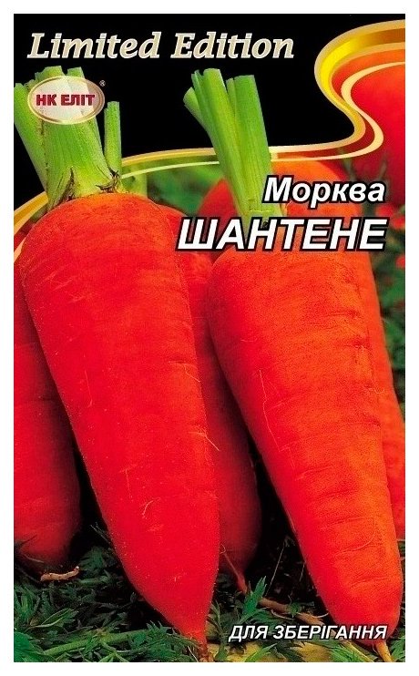 Shantane Skvyrska Carrot Seeds, 20 g