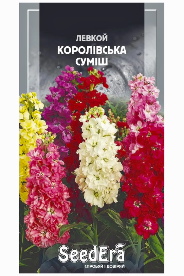 Насіння квітів Левкой Королівська Суміш, 0.2 г, Seedera | Семена цветов Левкой Королевская Смесь, 0.2 г, Seedera