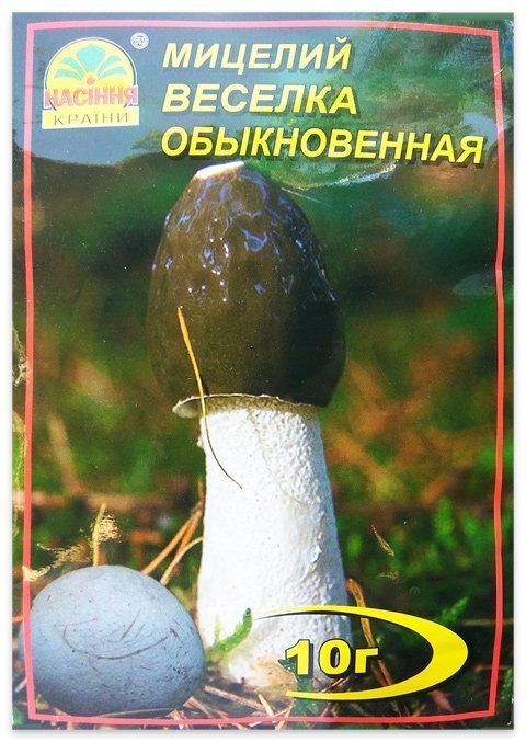 Rainbow Mushroom Mycelium (medicinal), 10 g