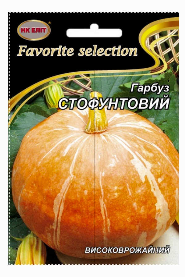 Насіння гарбуза Стофунтівка, 10 шт | Семена тыквы Стофунтовка, 10 шт