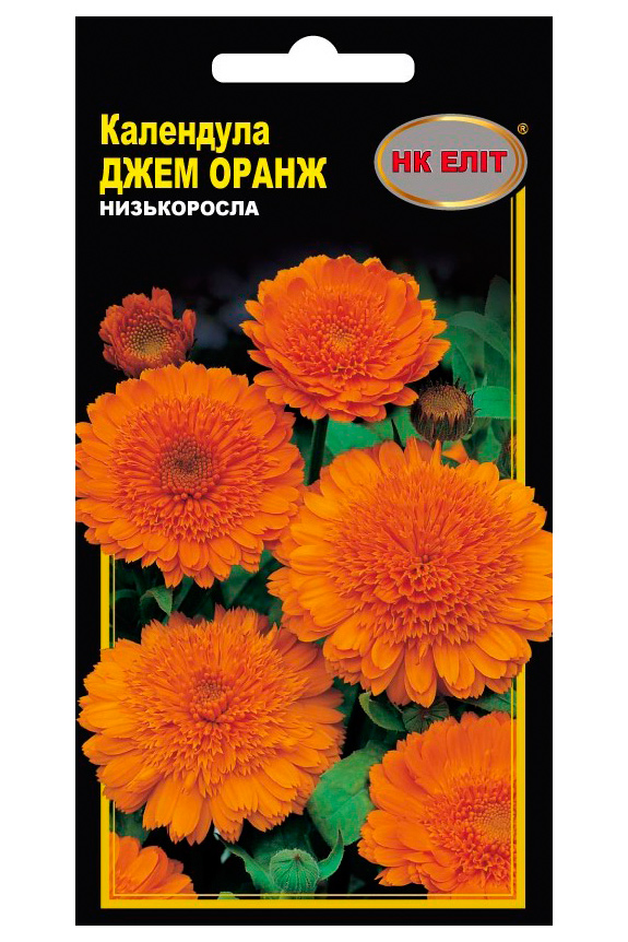 Calendula Orange Jam Flower Seeds, 0.5 g