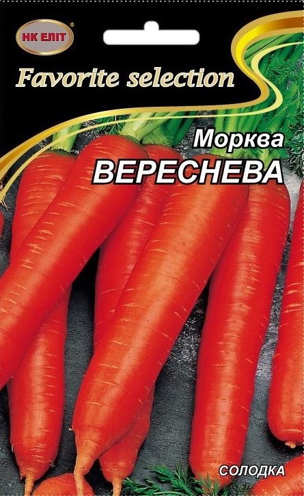 September Carrot Seeds, 20 g