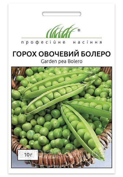 Bolero Pea Seeds 10 g May Seeds (Turkey)