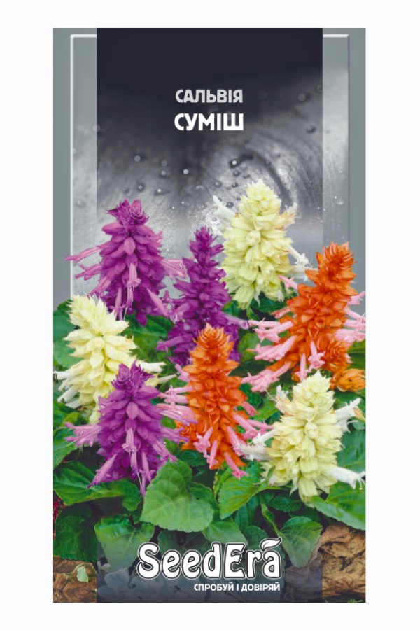 Насіння квітів Сальвія Суміш, 0.2 г, Seedera | Семена цветов Сальвия Смесь, 0.2 г, Seedera