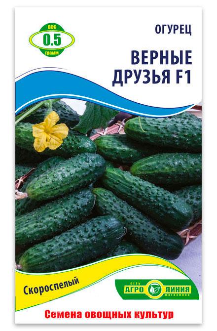 Cucumber seeds "Vernye Druzya" F1, 0.5 g
