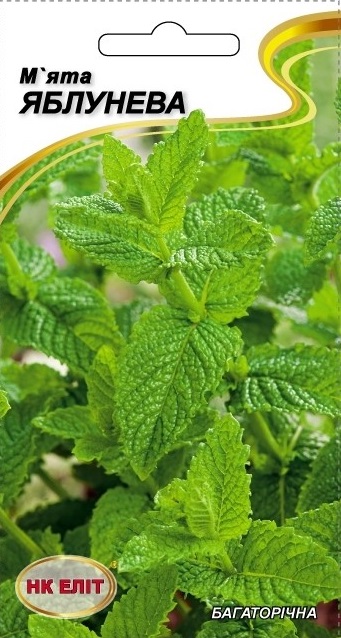 Apple Mint Herb Seeds, 0.1 g