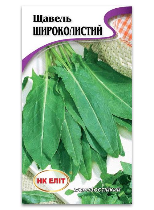 Broadleaf Sorrel Seeds, 2 g