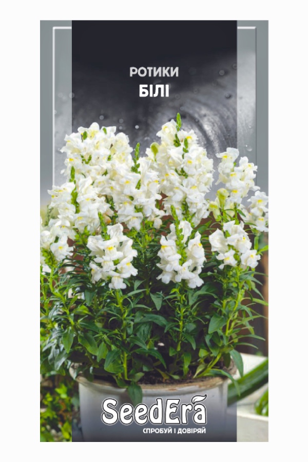 Насіння квітів Ротики Білі, 0.2 г, Seedera | Семена цветов Ротики Белые, 0.2 г, Seedera