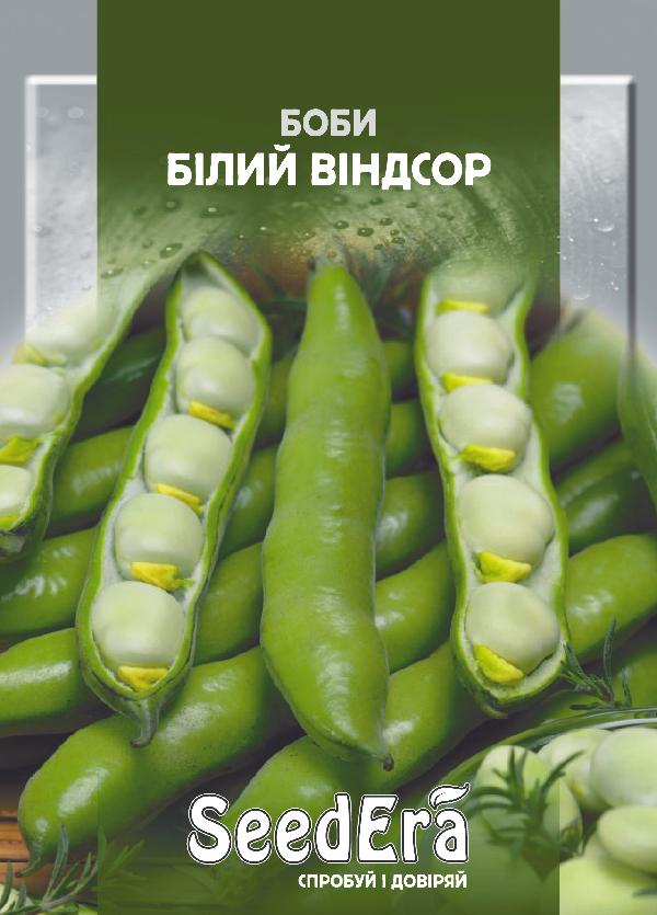 White Windsor Bean Seeds, 10 seeds, Seedera