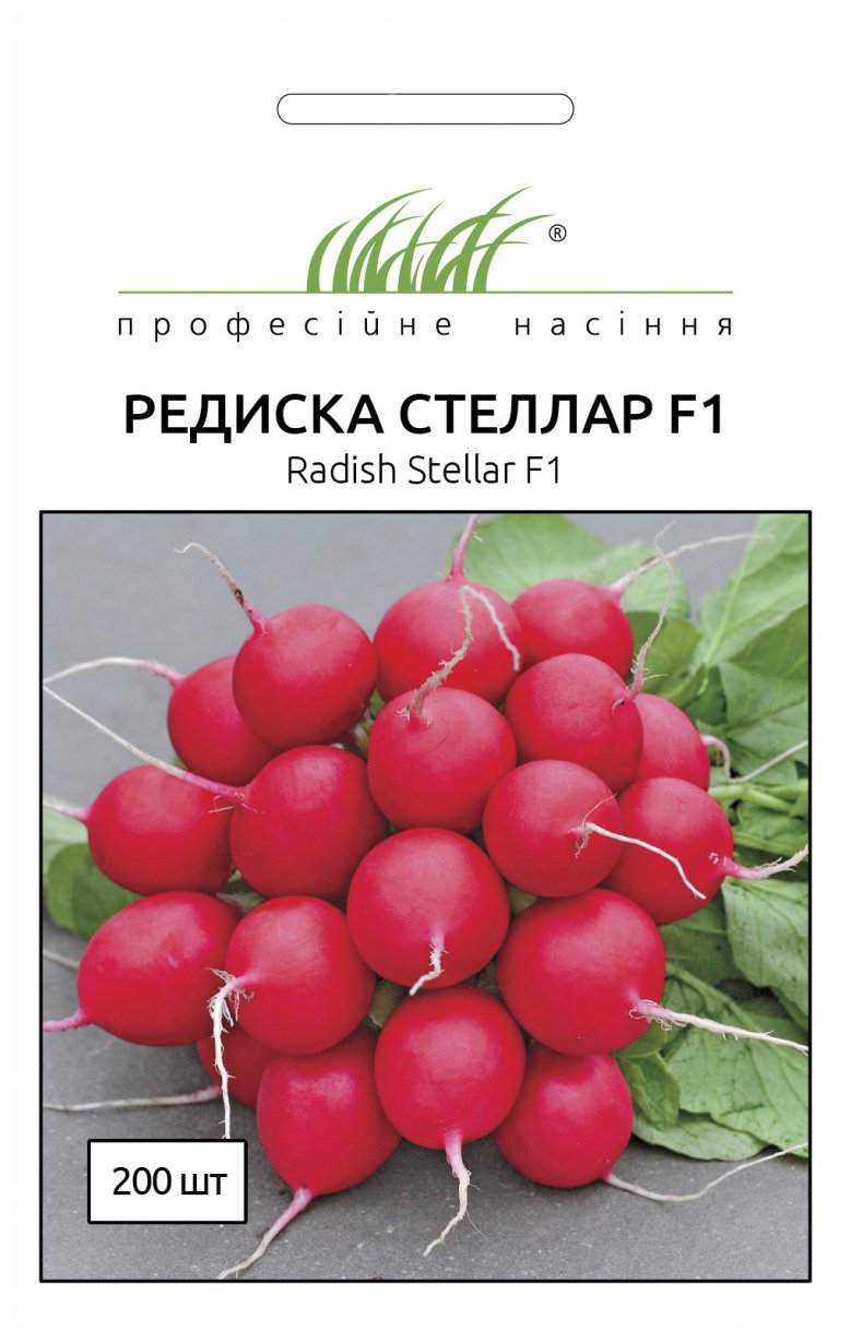 Stellar F1 Radish Seeds, 200 seeds, Syngenta (Netherlands)