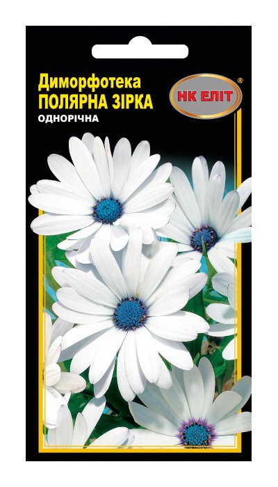 Dimorphotheca Polar Star flower seeds, 0.2 g