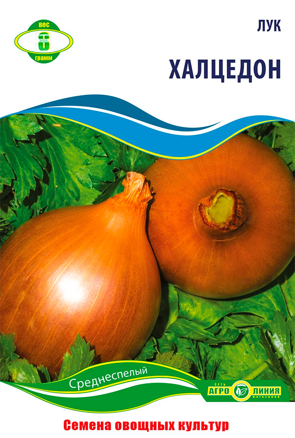 Chalcedon onion seeds, 8 g.