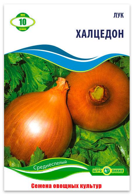 Chalcedon onion seeds, 10 g.