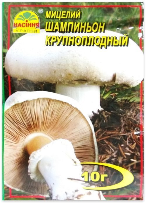 Large-fruited Champignon Mushroom Mycelium, 10 g