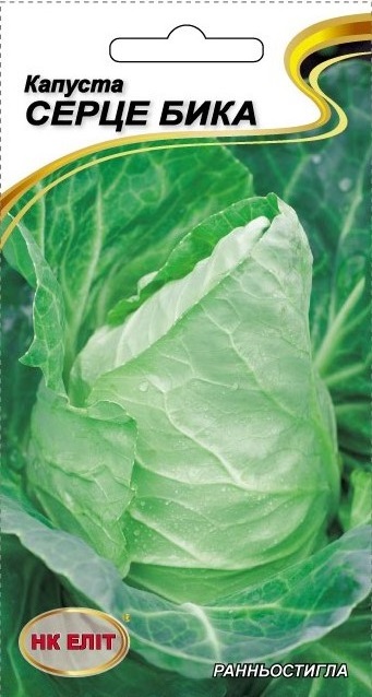 Bull's Heart Cabbage Seeds, 1 g