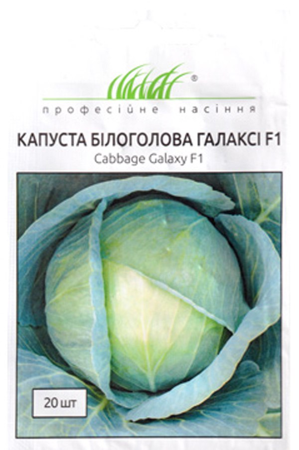 Семена капусты Галакси F1, 20 семян NongWoo Bio (Корея)