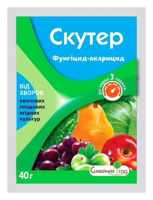 Skuter 40 g