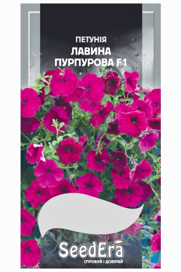 Petunia Avalanche Purple F1 Flower Seeds, 10 pcs, Seedera