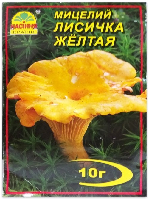 Мицелий гриба Лисичка Желтая, 10 г