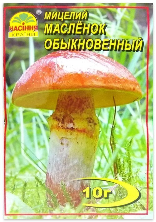 Common Butter Mushroom Mycelium, 10 g