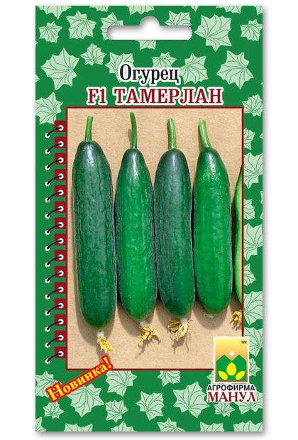 Cucumber Seeds, Tamerlane F1, 12 seeds