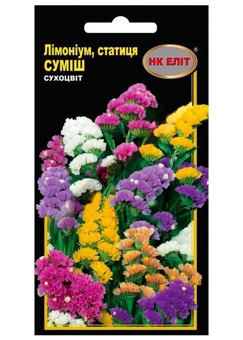 Flower seeds: Limonium Mix, Dried Flowers, 0.2 g