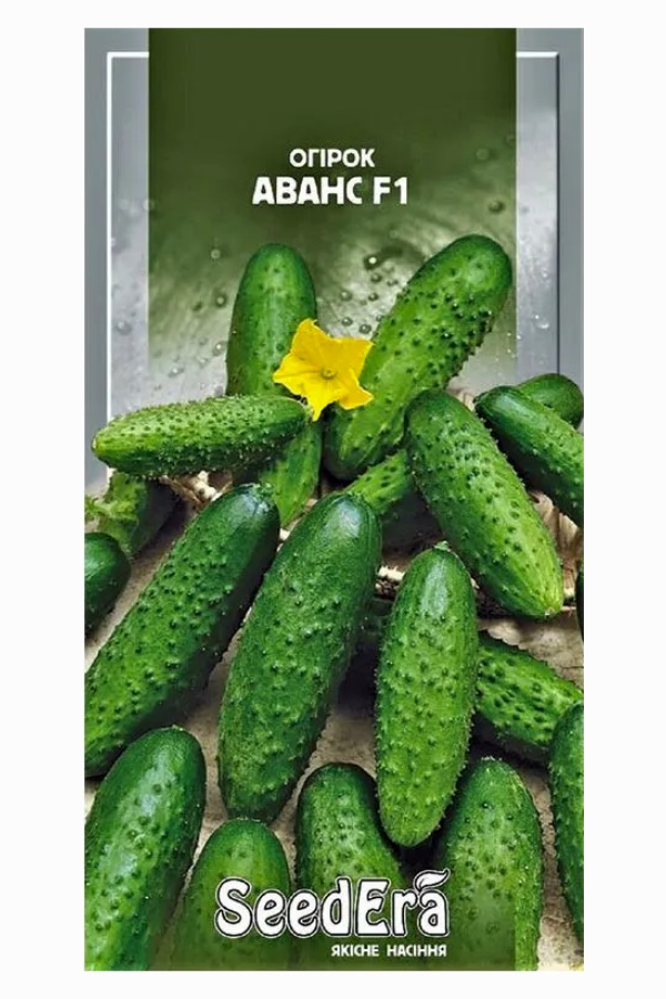 Насіння огірка Аванс F1, 10 шт, Seedera | Семена огурца Аванс F1, 10 шт, Seedera