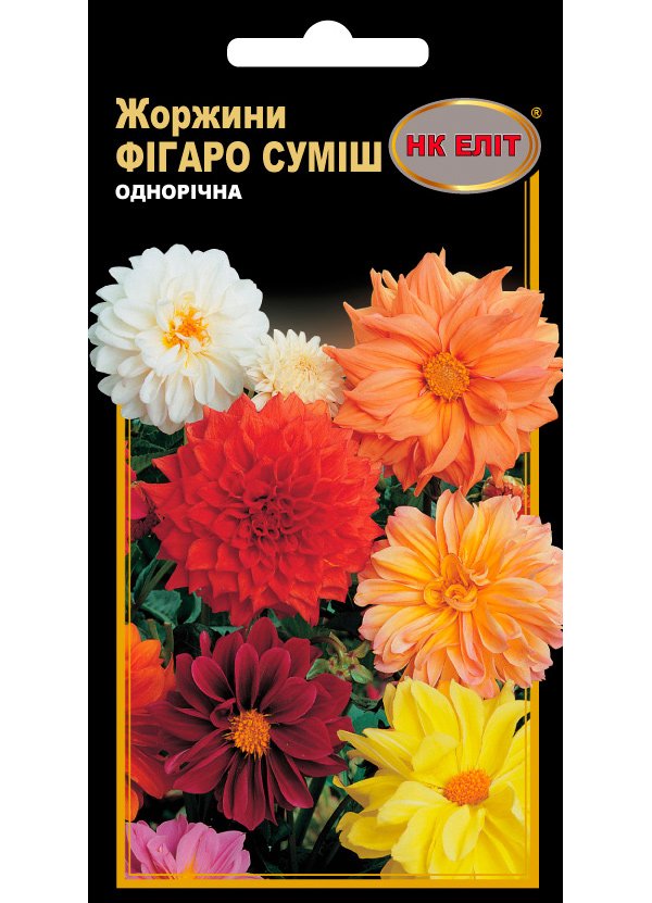 Семена цветов Георгины Смесь Фигаро махровая, 0.3 г