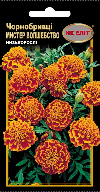 Насіння квітів Чорнобривці Містер Чаклунство, 0.5 г | Семена цветов Бархатцы Мистер Волшебство, 0.5 г
