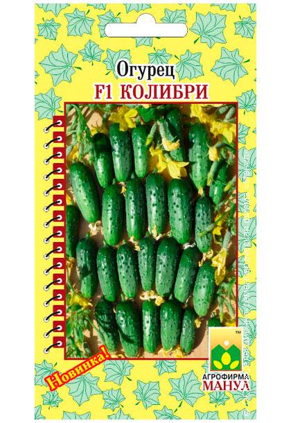 Colibri F1 Cucumber Seeds, 10 seeds