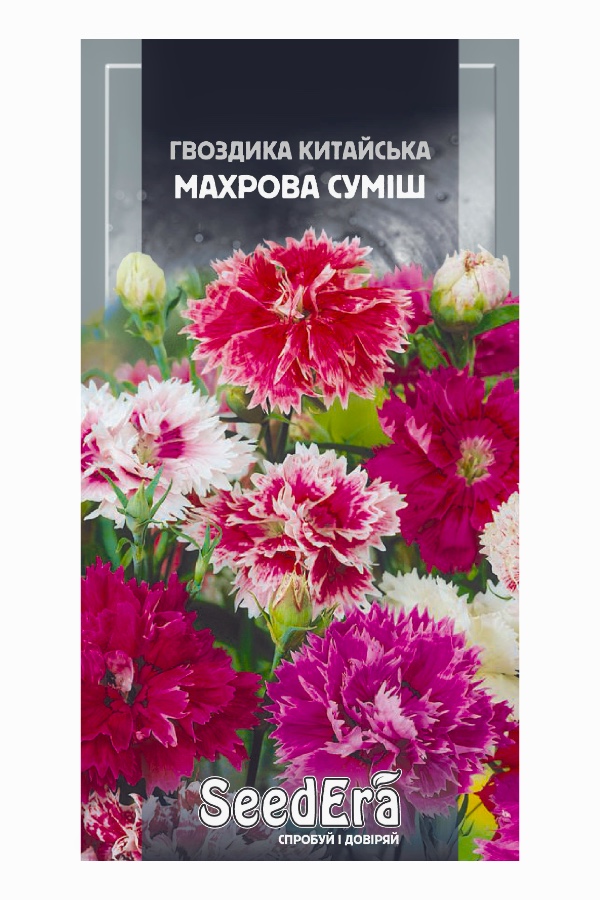 Семена цветов Гвоздика Китайская Махровая Смесь, 0.2 г, Seedera
