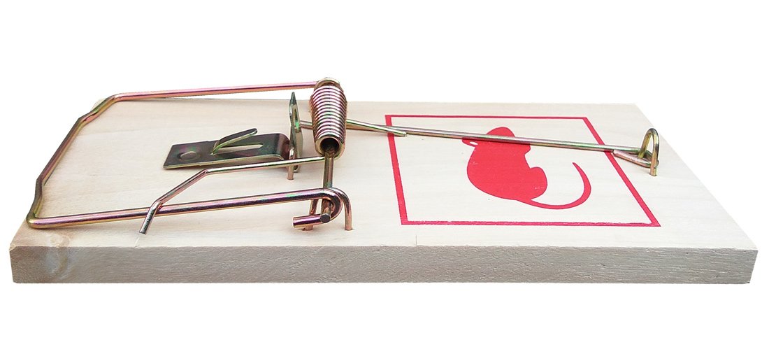 Rat Trap