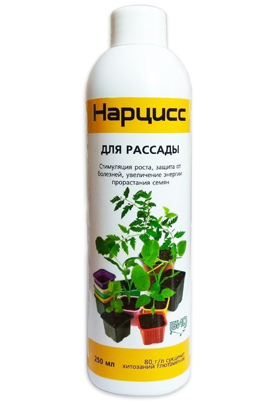 Daffodil for seedlings, 250 ml