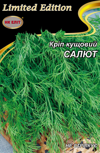 Dill seeds "Kustovoy Salyut," 20 g