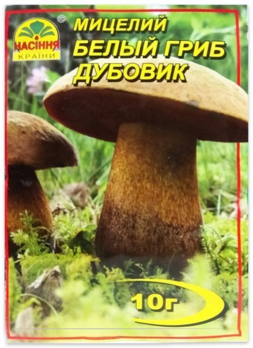 White Oak Mushroom Mycelium, 10 g