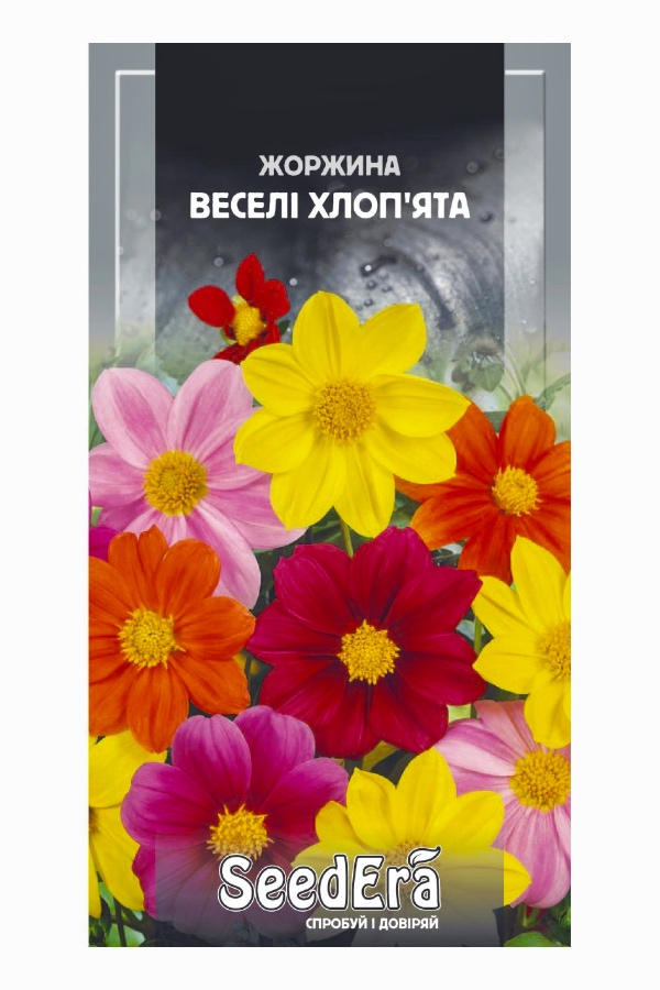 Насіння квітів Жоржина Веселі Хлоп’ята, 0.5 г, Seedera | Семена цветов Георгина Веселые Ребята, 0.5 г, Seedera