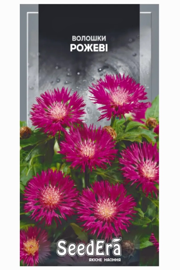Насіння квітів Волошки Рожеві, 0.5 г, Seedera | Семена цветов Васильки Розовые, 0.5 г, Seedera