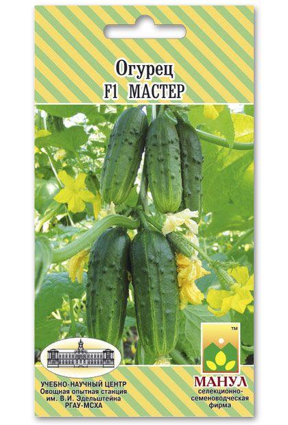 Master F1 Cucumber Seeds, 10 seeds