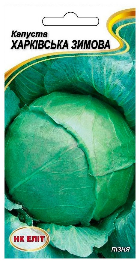 Kharkiv Winter Cabbage Seeds, 1 g
