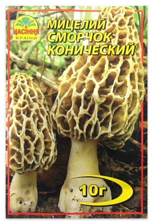 Мицелий гриба Сморчок Конический, 10 г