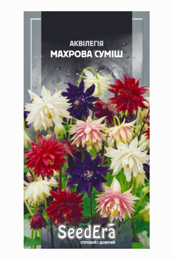Насіння квітів Аквілегія Махрова Суміш, 0.1 г, Seedera | Семена цветов Аквилегия Махровая Смесь, 0.1 г, Seedera